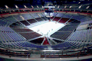 大熊猫“园园”“阳阳”平安回国